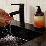 Melo Fermented Hand Soap